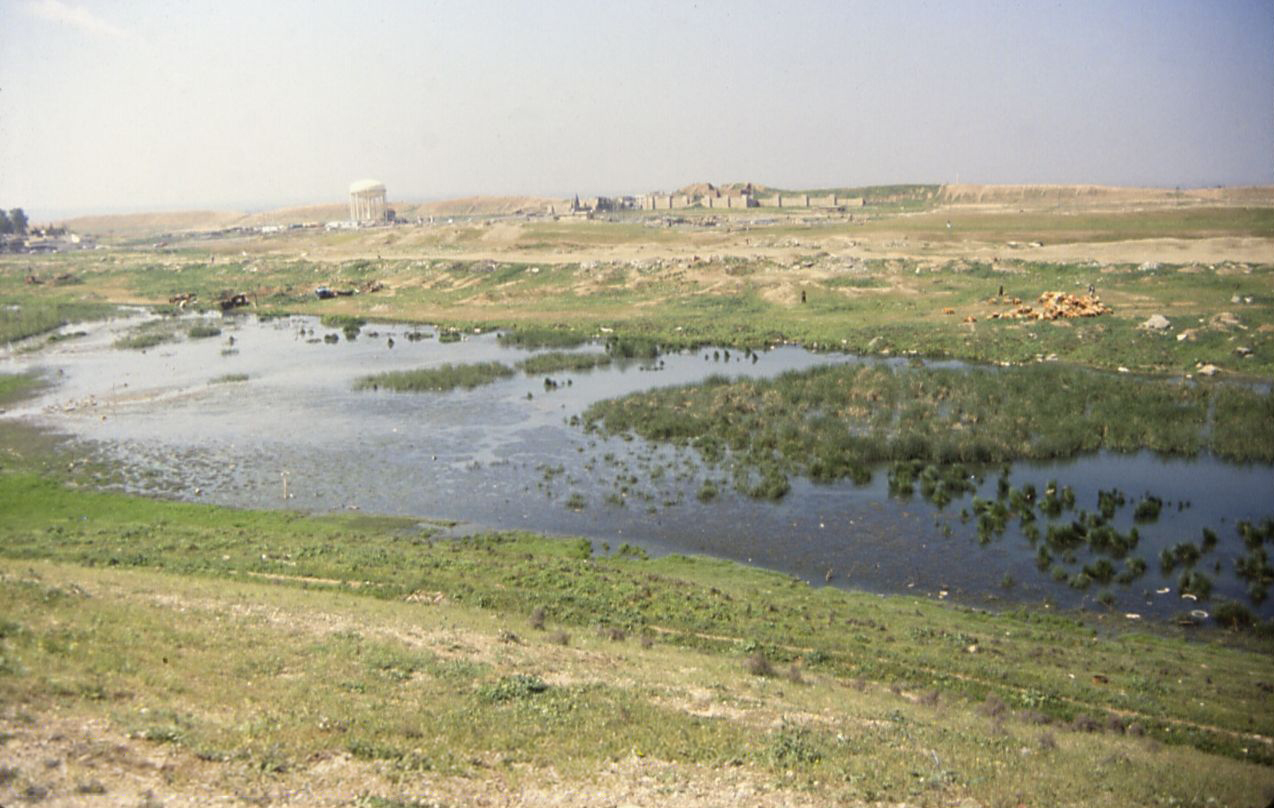 The Shamash Gate Destruction Layer (Nineveh)